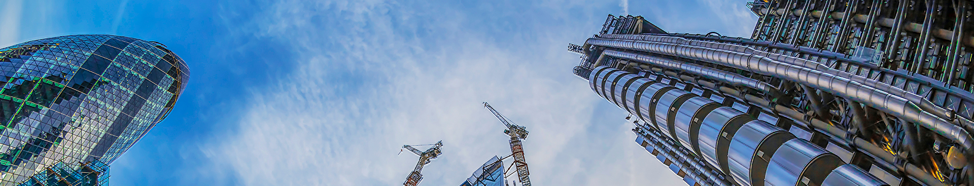 מה החזון שלנו ומה מניע אותנו לעשייה